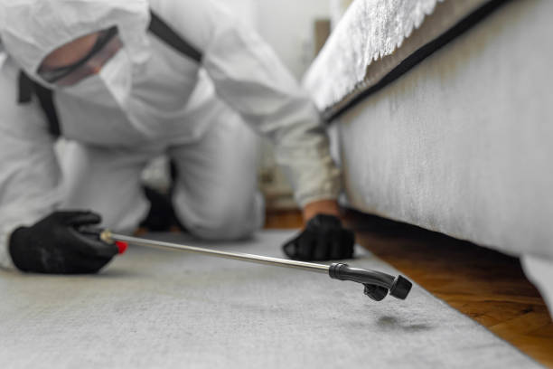 Professional Termite Control technician working in Salem, UT