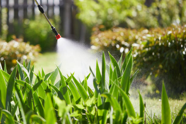 24/7 Emergency Termite Control experts in Salem, UT