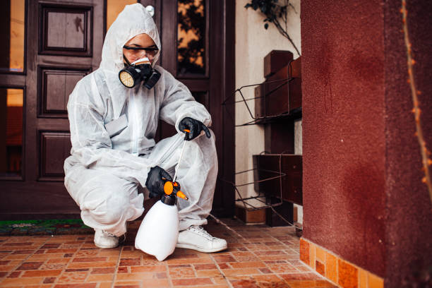 Reliable Termite Control contractor in Salem, UT by Nex Pest Control